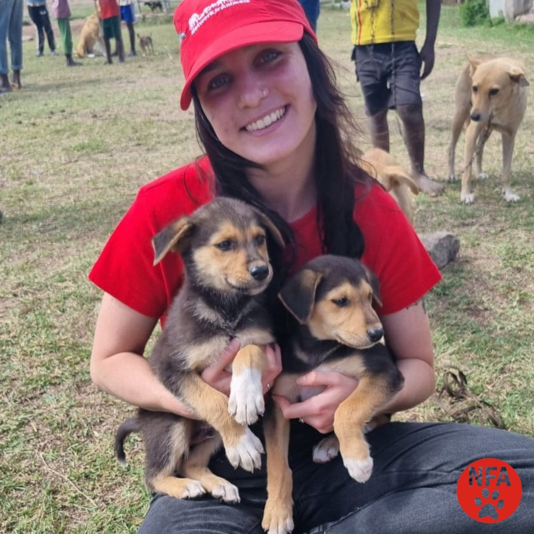 December Rescue-Network for Animals $127.5 Donated