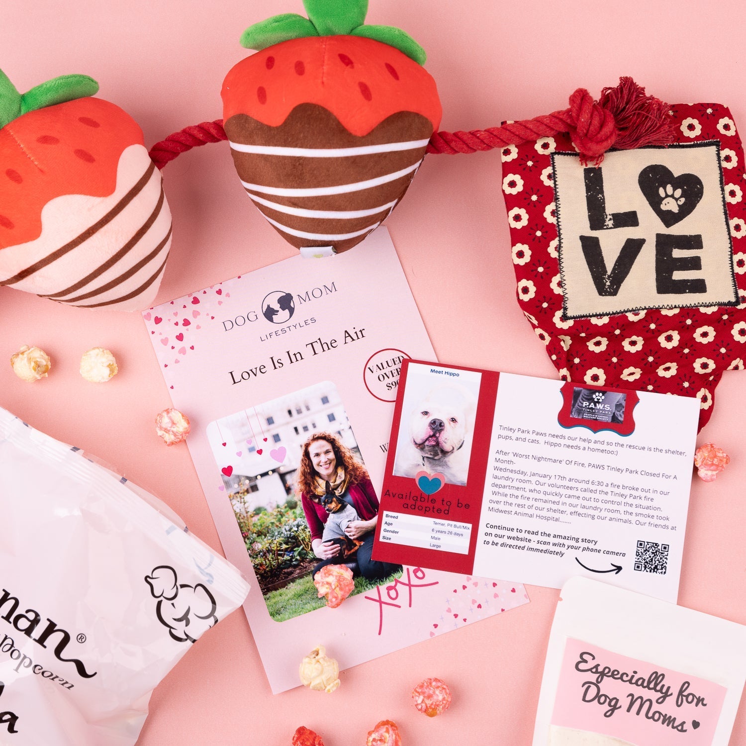 Valentine's Dog Mom gifts