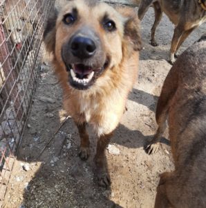 September rescue Rubi