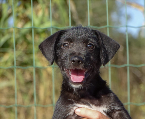 September Rescue - Bianca Sanctuary $194.5 Donated