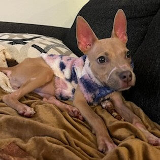 February Rescue: Browne $57.5 Donated