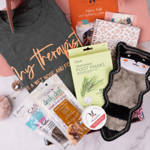 January Monthly Ritual – Dog Mom Box: Planning, Pampering, and Paw Protection