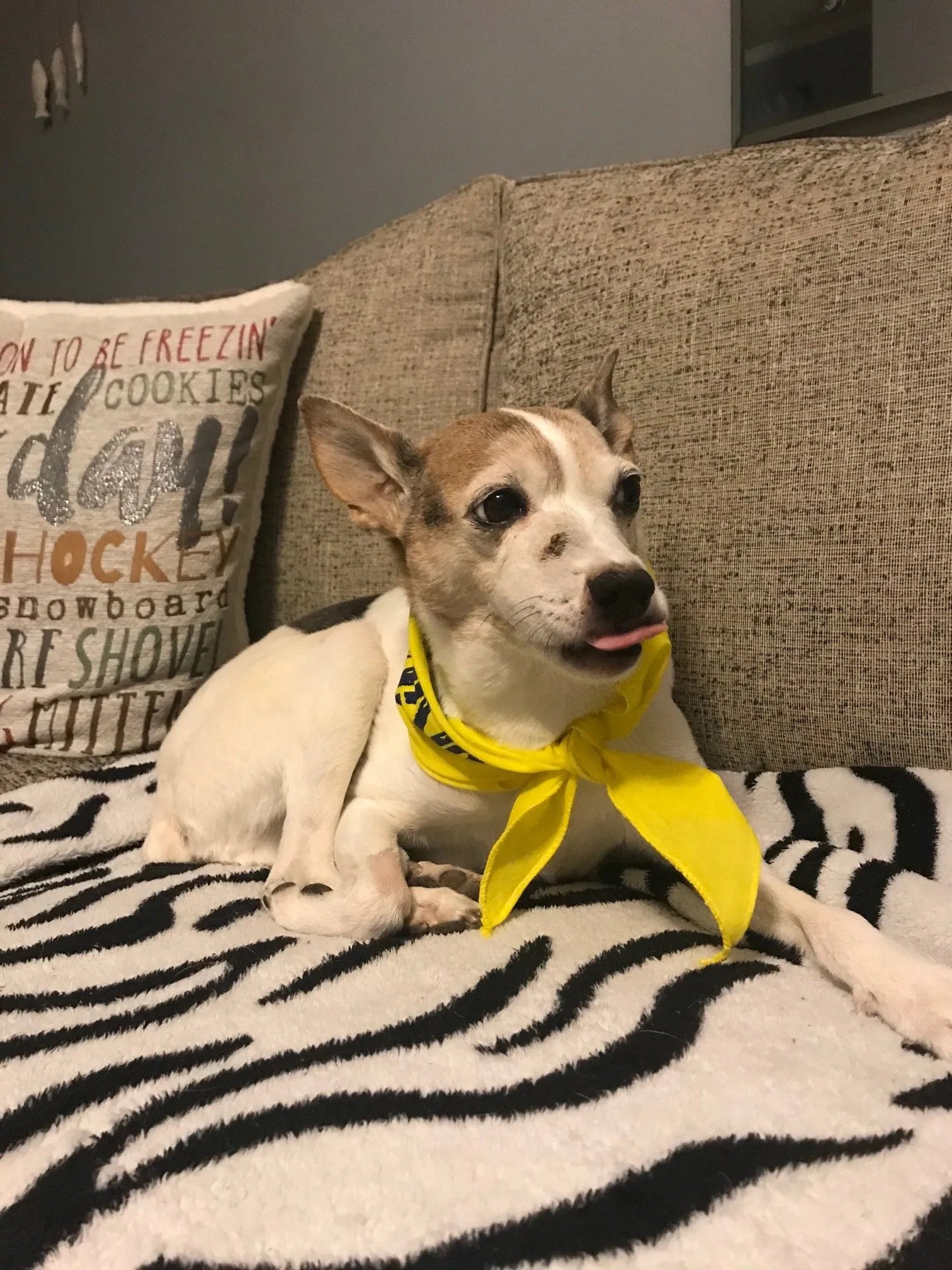 June Rescue - Jack Daniels $55 Donated