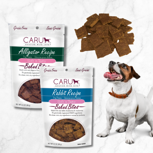 Allergy Safe Treats
